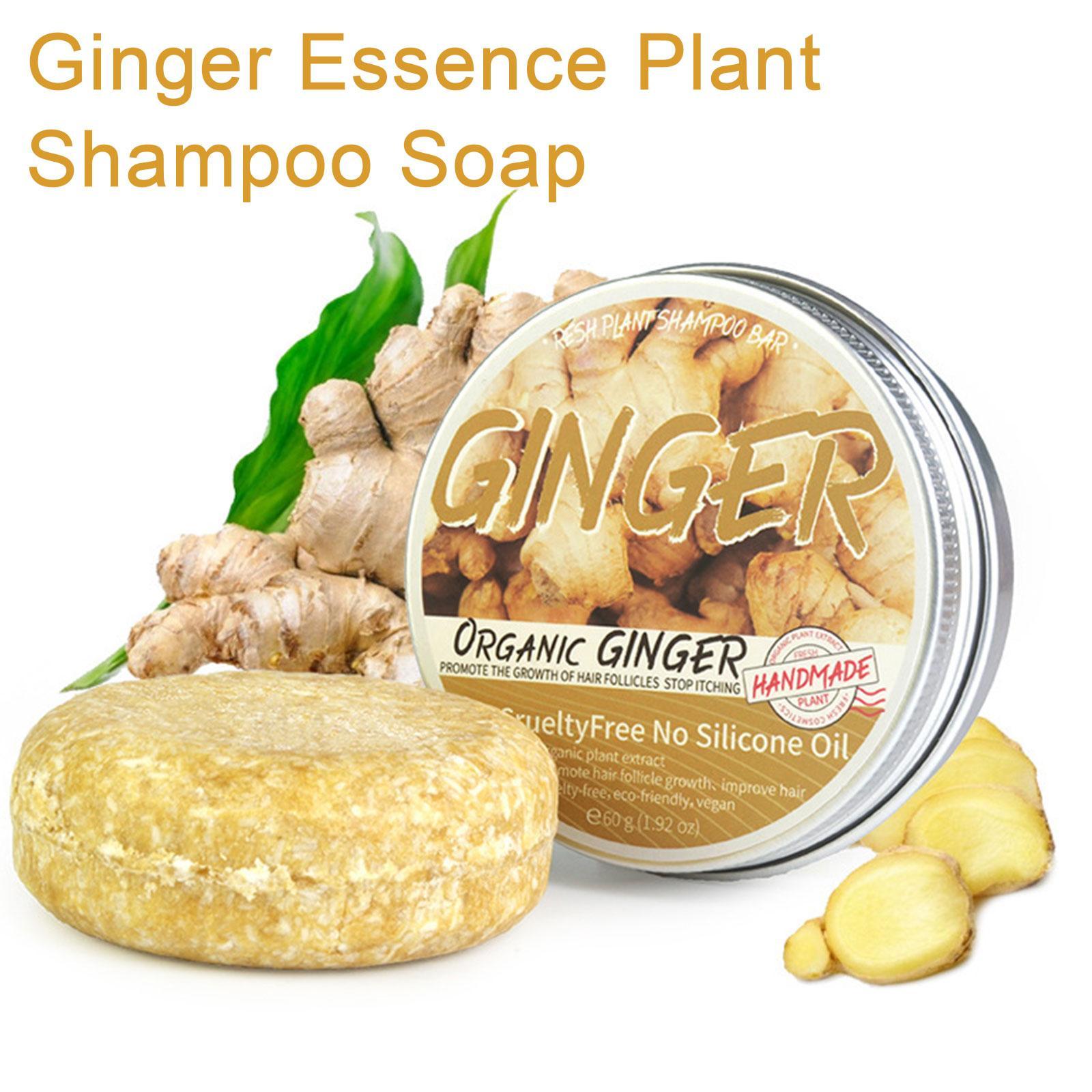 Hair Care Organic - Ginger Polygonum Shampoo para cuidados capilares,